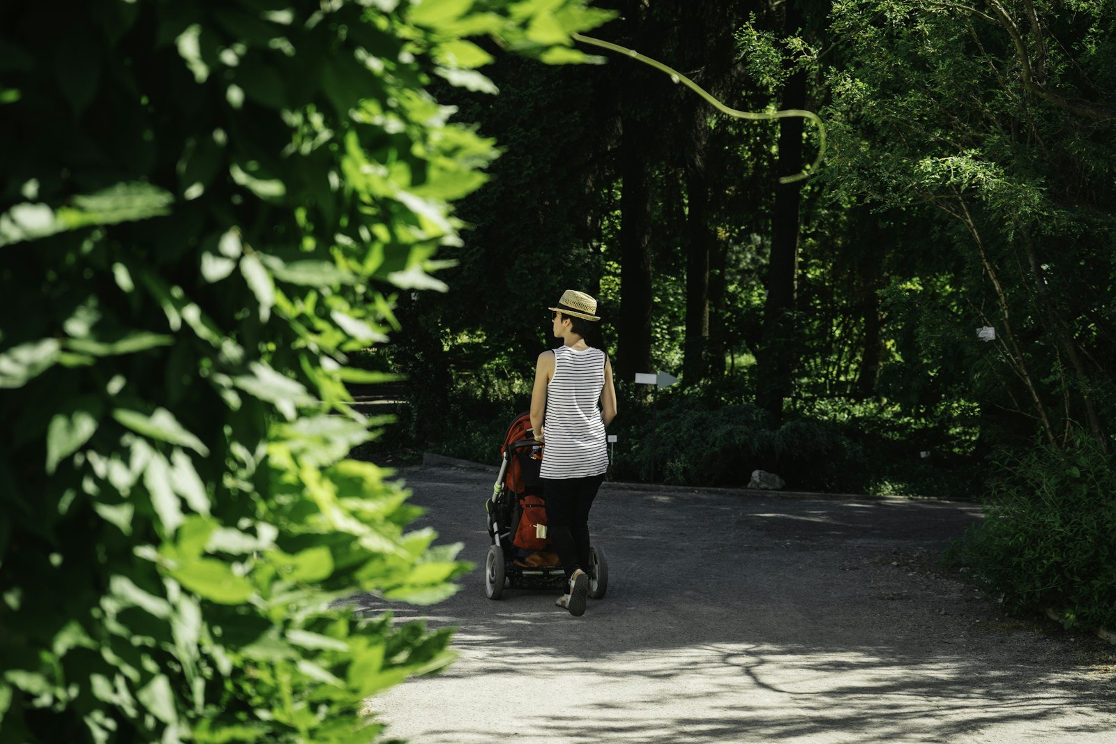 Ein Elternteil geht mit einem Kinderwagen einen Weg im Park entlang