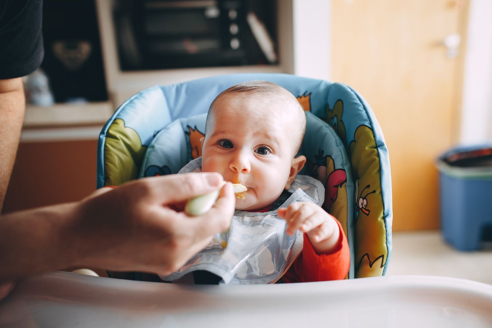 Un bébé nourri à la cuillère avec une purée, l'approche classique de démarrage de la diversification