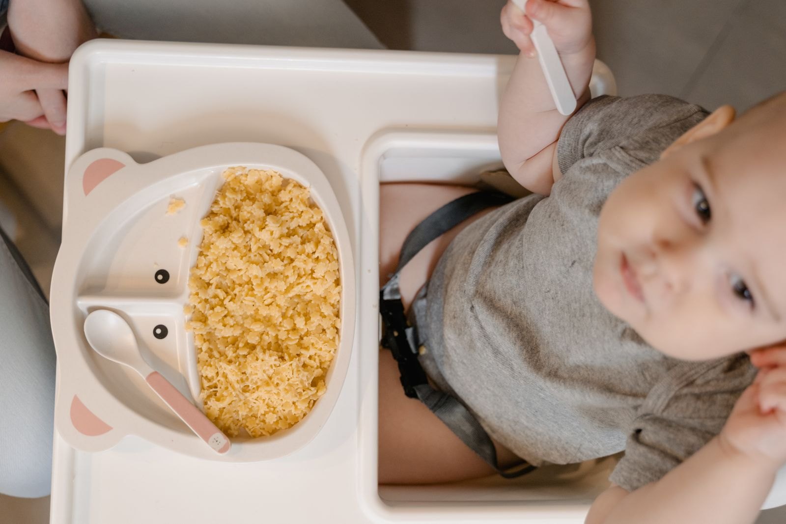 Vista dall'alto di un bambino al seggiolone che tiene un cucchiaio davanti al piatto