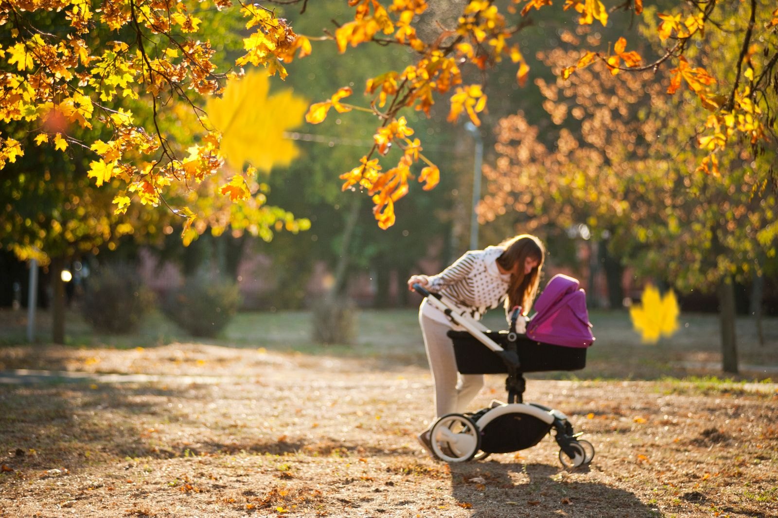 Un genitore spinge il passeggino in un parco durante una passeggiata all'aperto