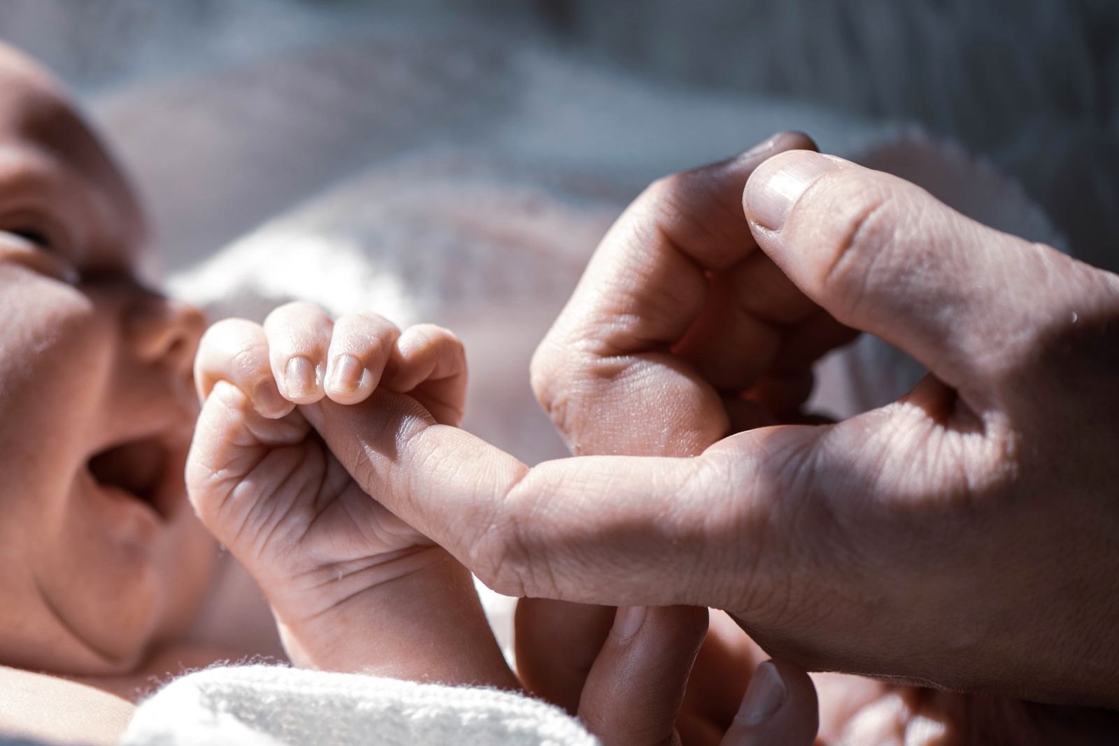 En förälder håller ömt en nyfödd bebis hand i hand