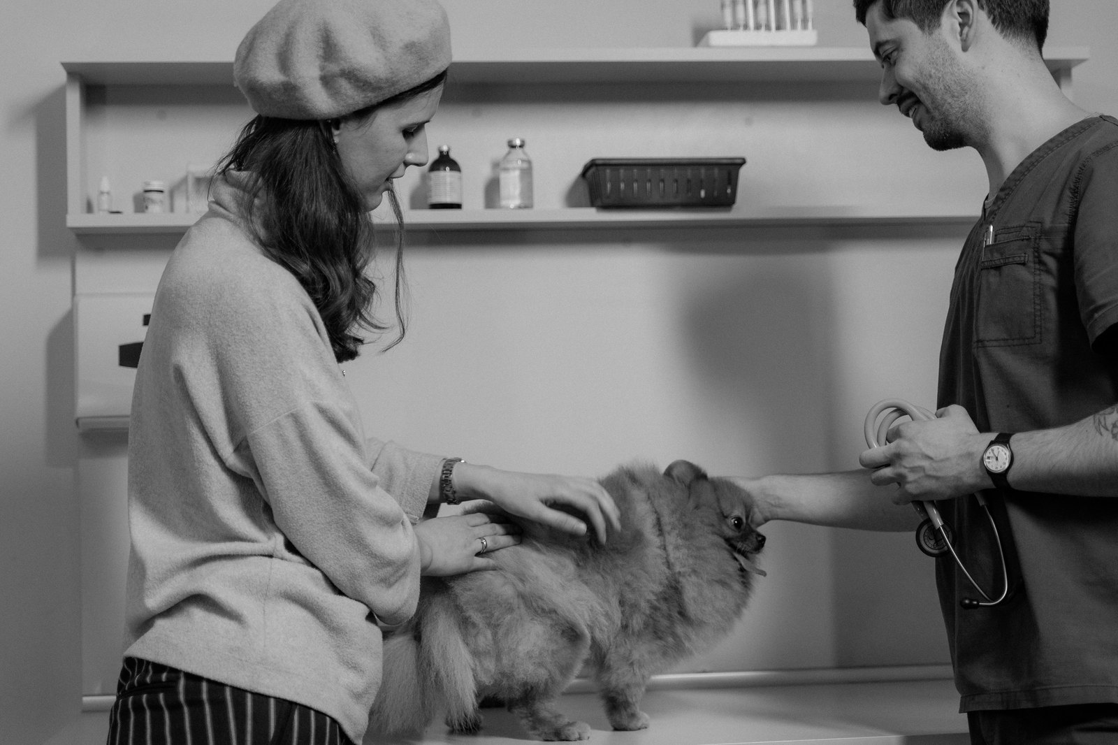 Una veterinaria y una asistente examinando con cuidado a un perro pequeño y peludo sobre una mesa de exploración