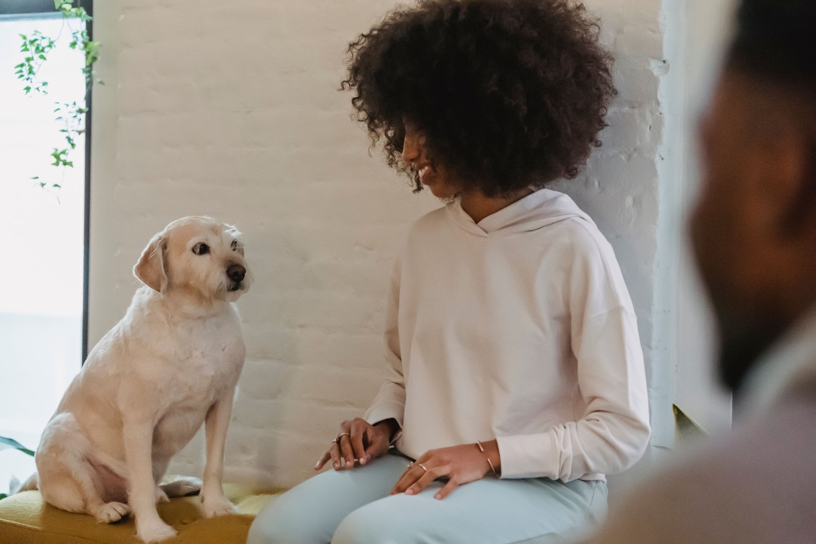 Un cane seduto vicino al proprietario su una panchina, che lo guarda con affetto