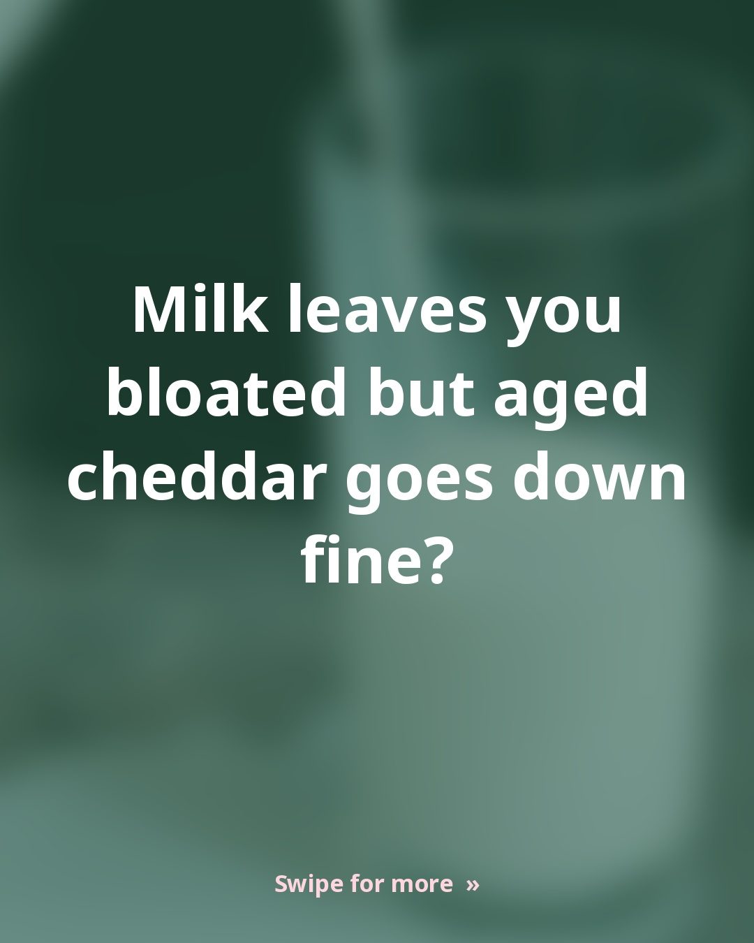 Lactose Intolerance: Milk Upsets You but Aged Cheddar Doesn't