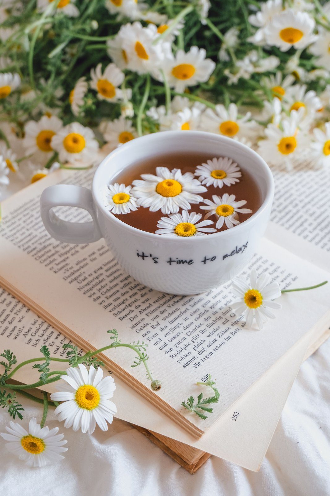Flores secas de manzanilla, la infusión nocturna tradicional en España