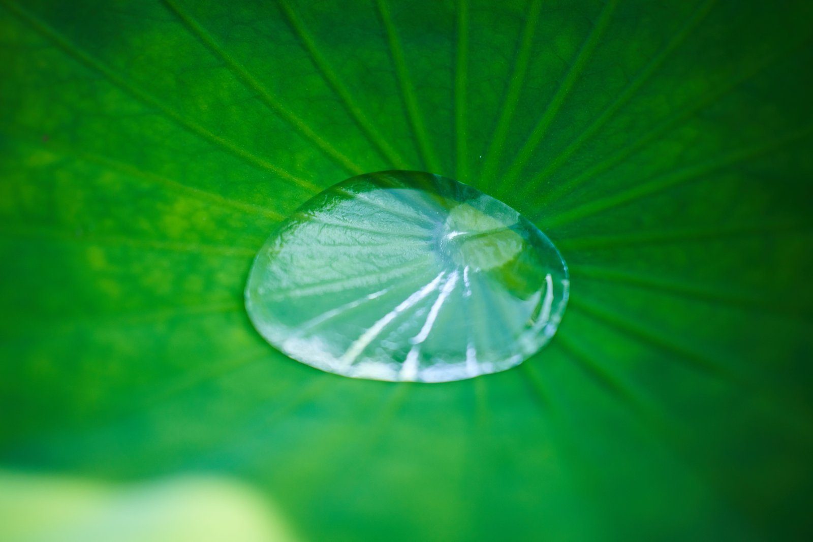 Une goutte d'eau, symbole du risque de ne boire que de l'eau pure sans compenser les sels minéraux perdus