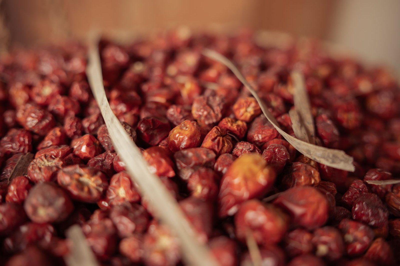 Jujubes séchés, traditionnellement infusés en tisane du soir