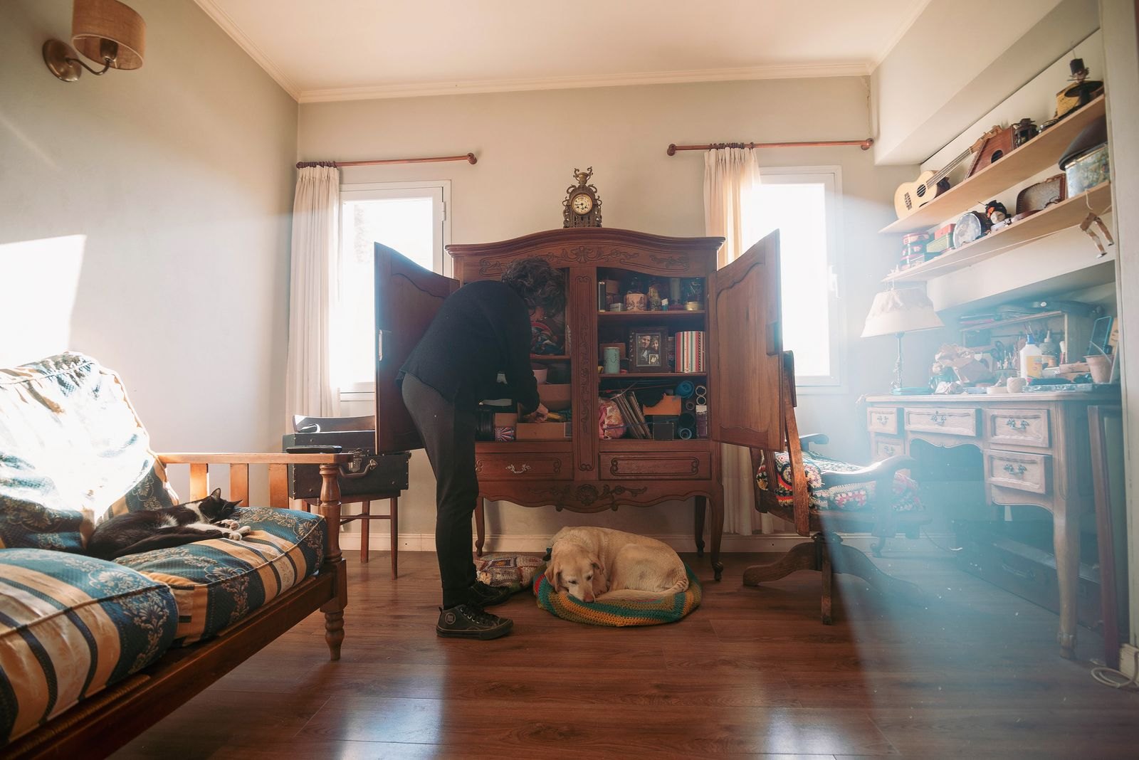 Hund und Katze ruhen entspannt in einem gemütlichen Wohnzimmer, während im Hintergrund jemand aufräumt