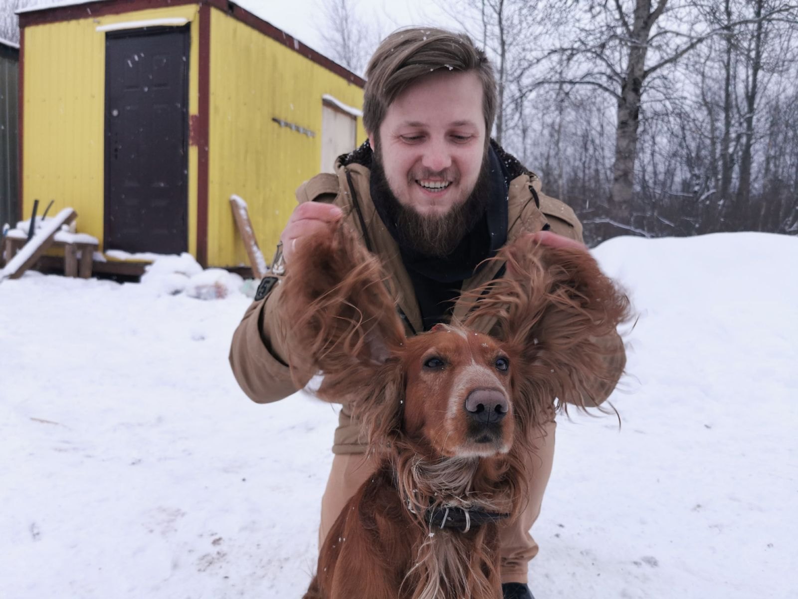 Eine Hand bürstet mit einem Metallkamm vorsichtig das Fell nahe dem Ohr eines Corgis bei der Fellpflege zuhause