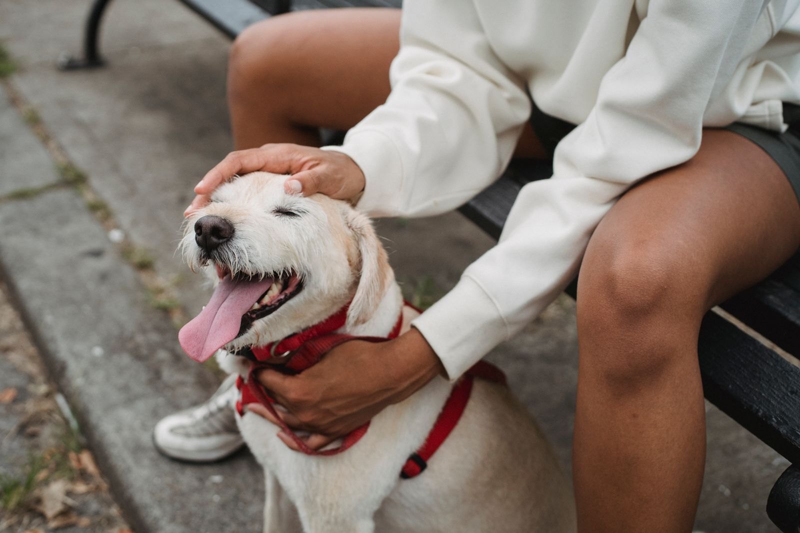 4 Things to Do the Moment You Find a New Lump