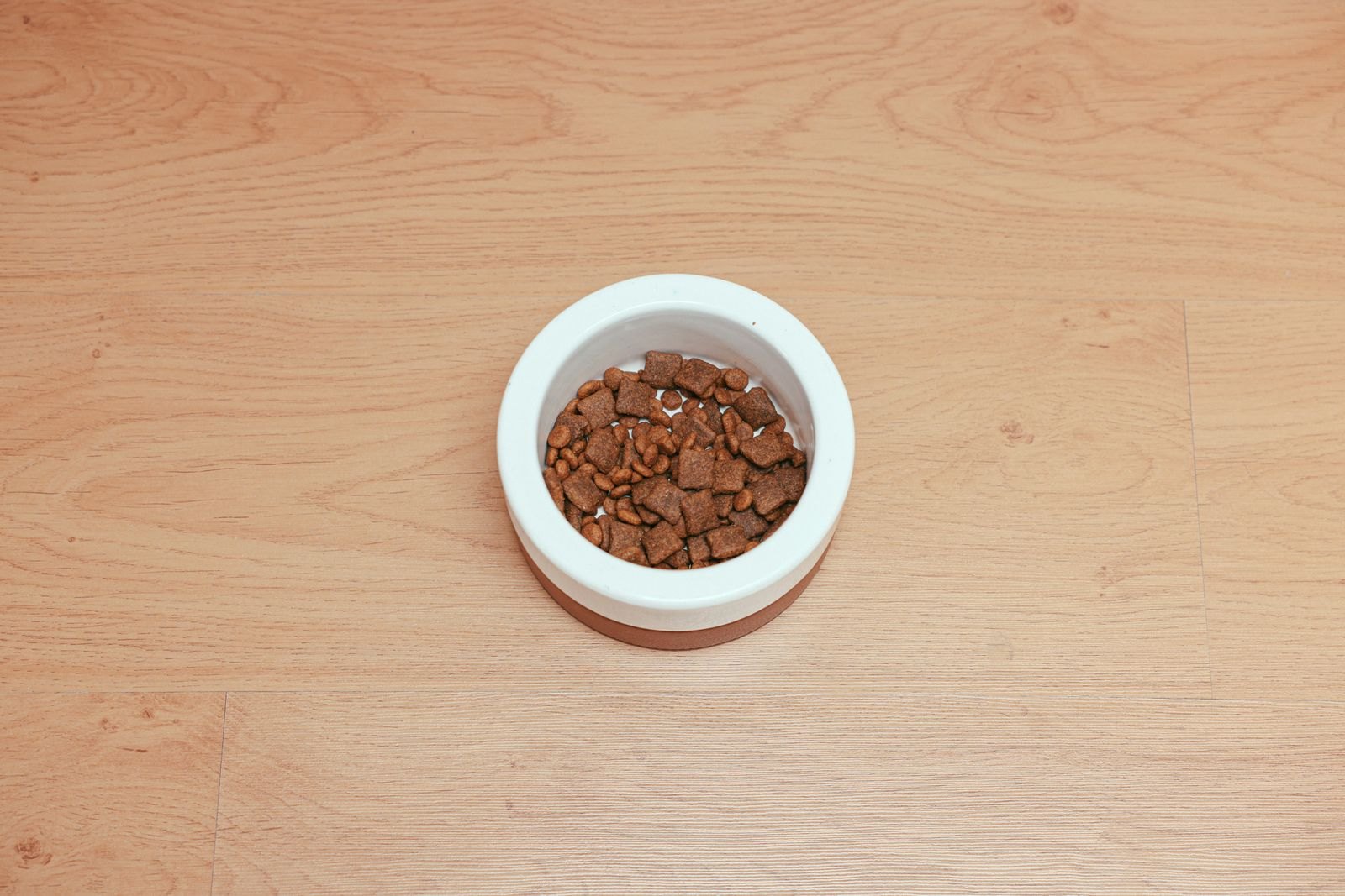 An overhead view of a white bowl filled with dry dog kibble on a wood floor