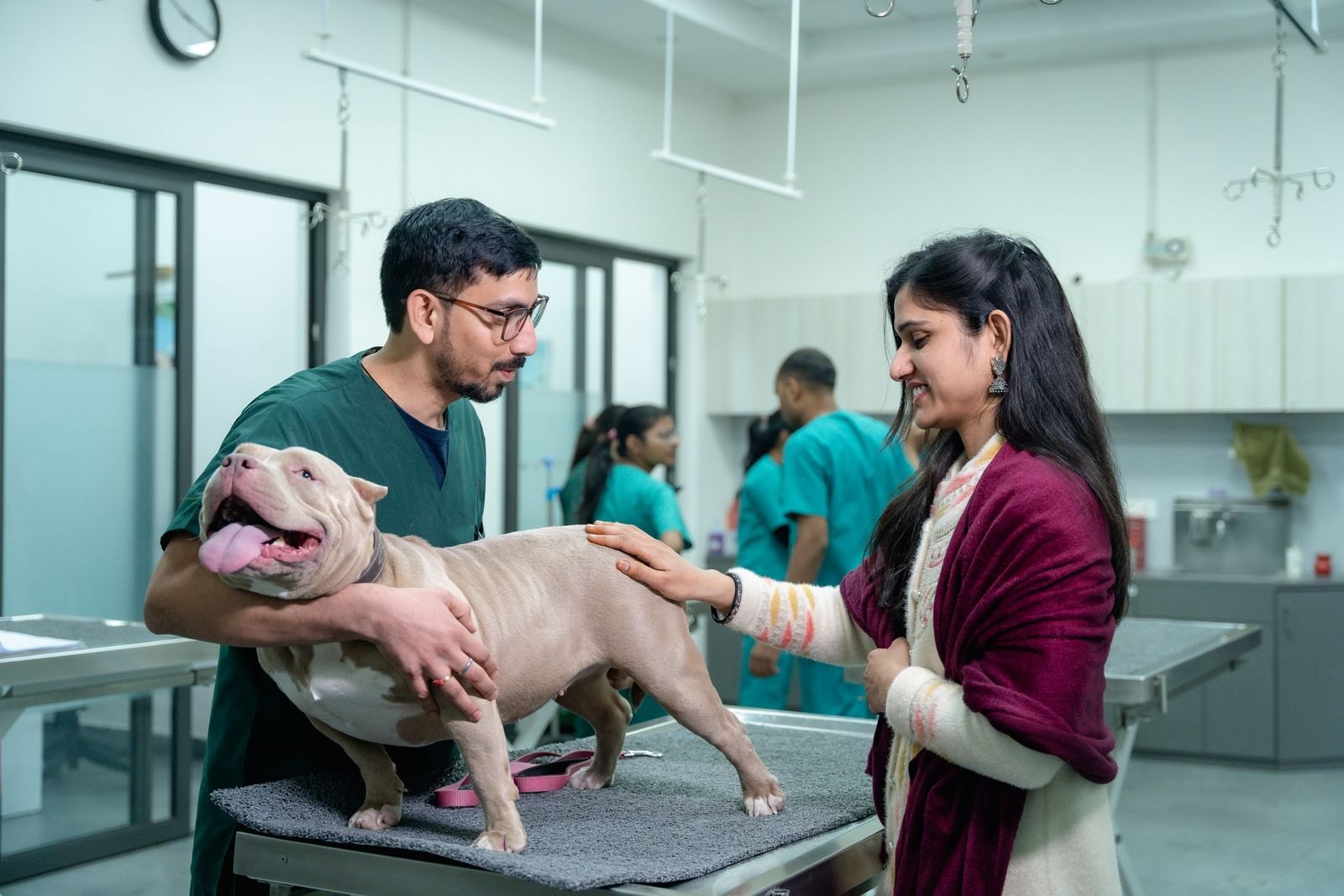 Un veterinario examina a un perro sobre la mesa de exploración mientras su dueña lo observa de cerca