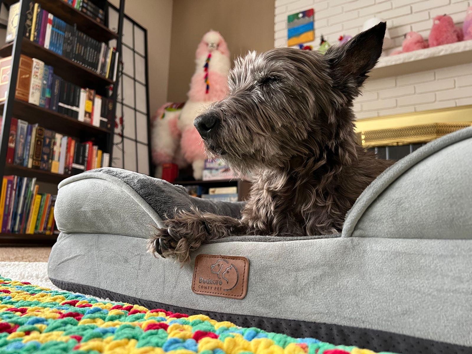 Chien Surexcité : Zone de Décompression, Pas Plus de Jeu