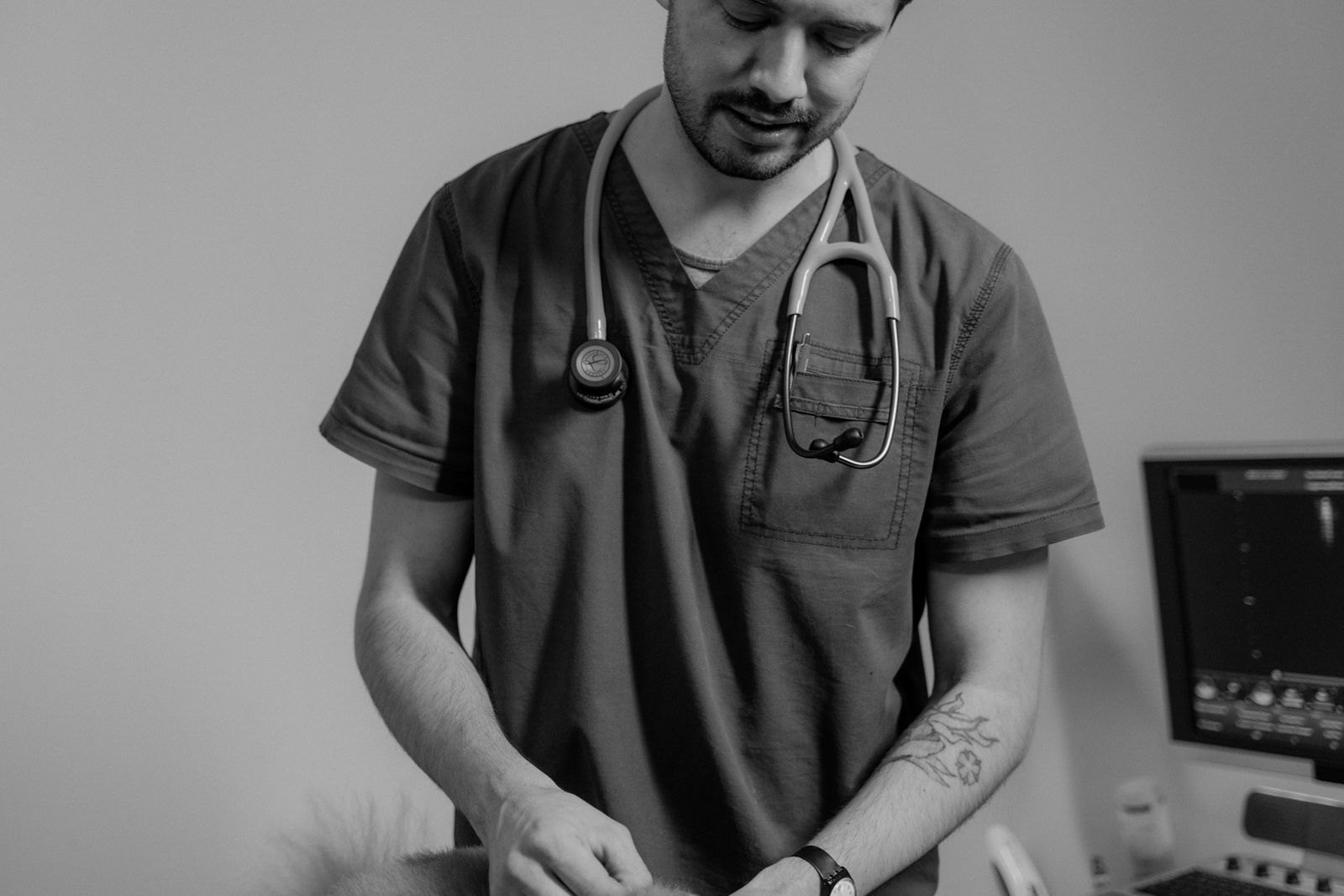 Veterinär med stetoskop undersöker en hund på klinik