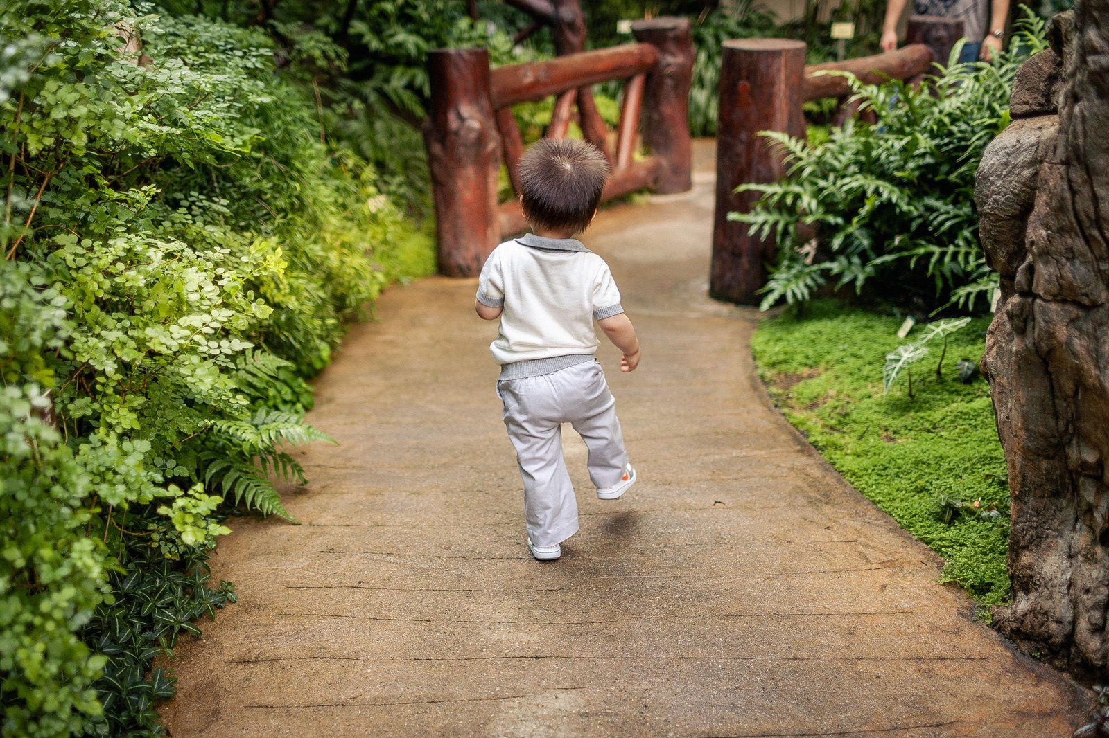 屋外を元気に走る幼児の後ろ姿
